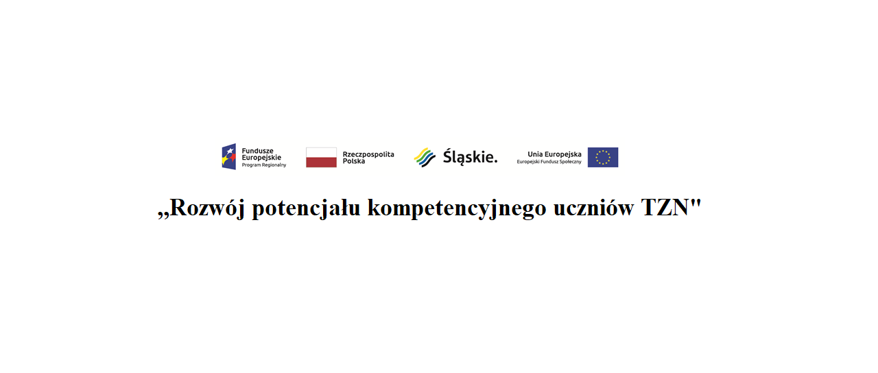 Uczniowie biorący udział w projekcie ,,Rozwój potencjały kompetencyjnego uczniów TZN”