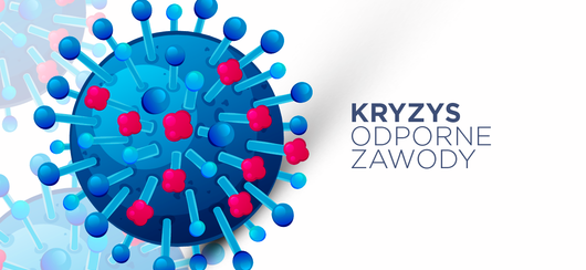 5 zawodów w branży IT odpornych na kryzys