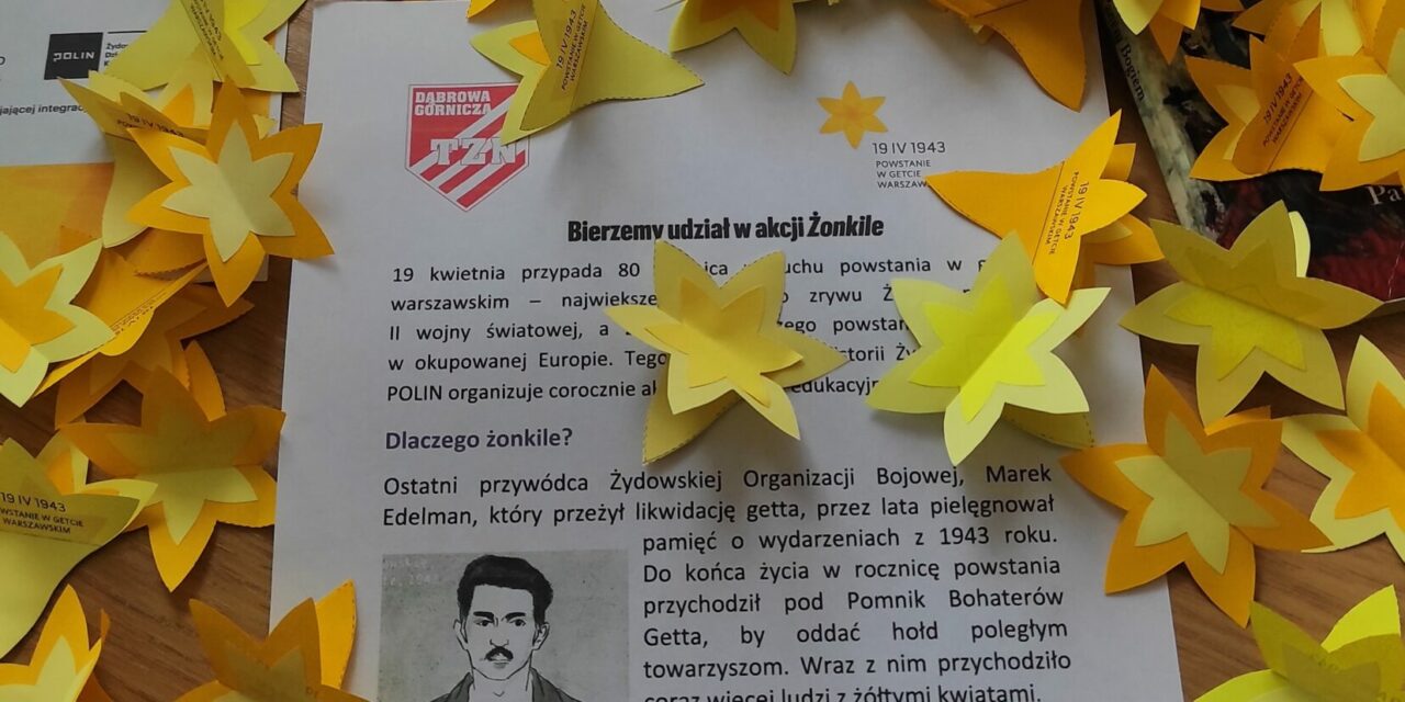Zachęcamy do akcji społeczno-edukacyjnej Żonkile